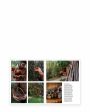 NEW MAGS Living Wild - миниатюра 3