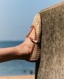 Ancient Greek Sandals Балетки Aerati в сетку, цвет бежевый - миниатюра 2
