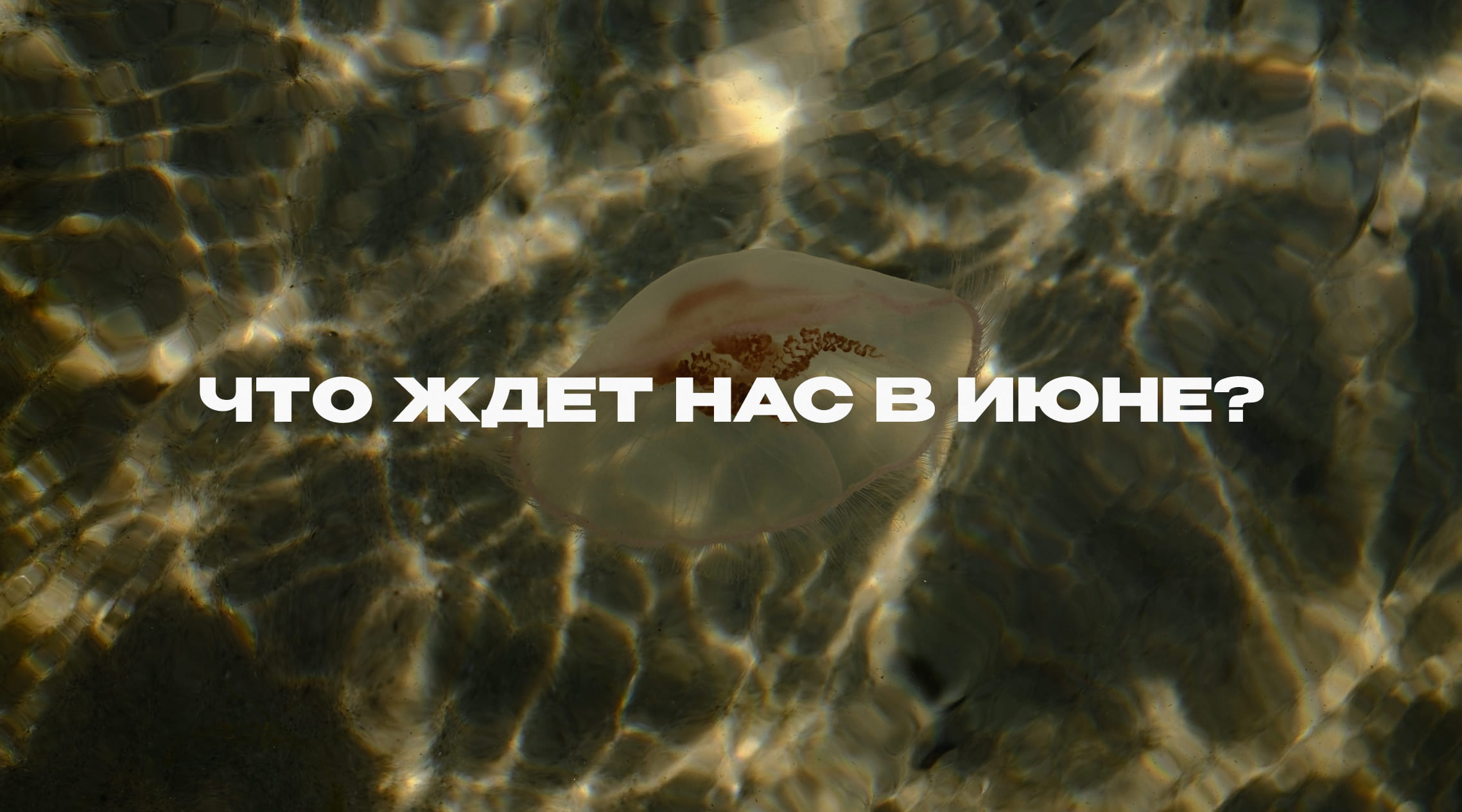 Расклад от нумеролога Расклад от нумеролога