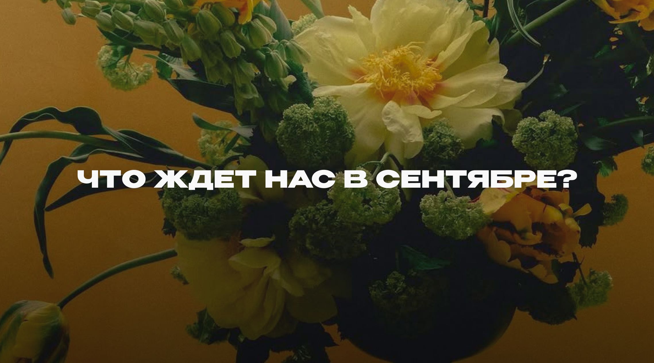 Расклад от нумеролога Расклад от нумеролога