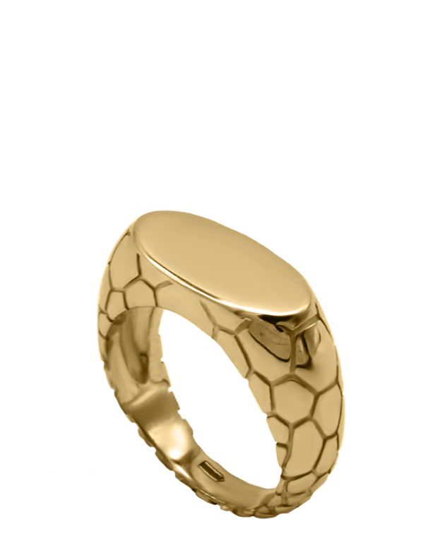 Кольцо-печатка Eva, цвет золотой - изображение 1