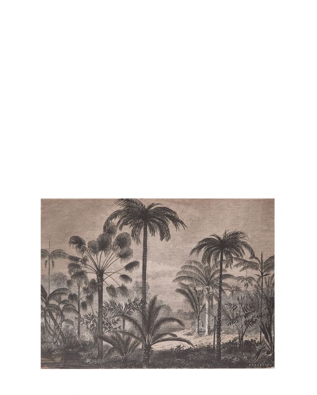 Виниловый плейсмат Amazonia, цвет черный/белый - изображение 1