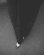 Souliers Martinez Туфли Camelia, цвет черный - миниатюра 8