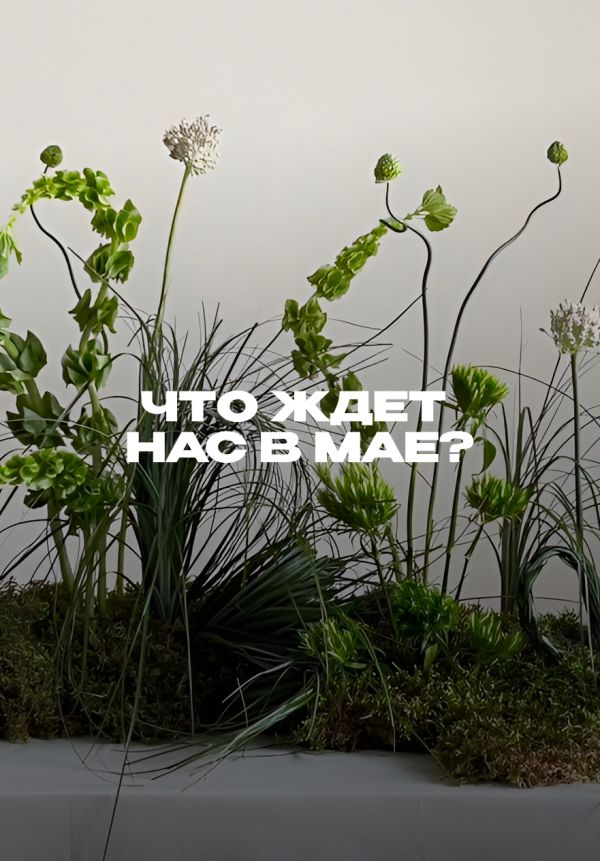 Расклад от нумеролога