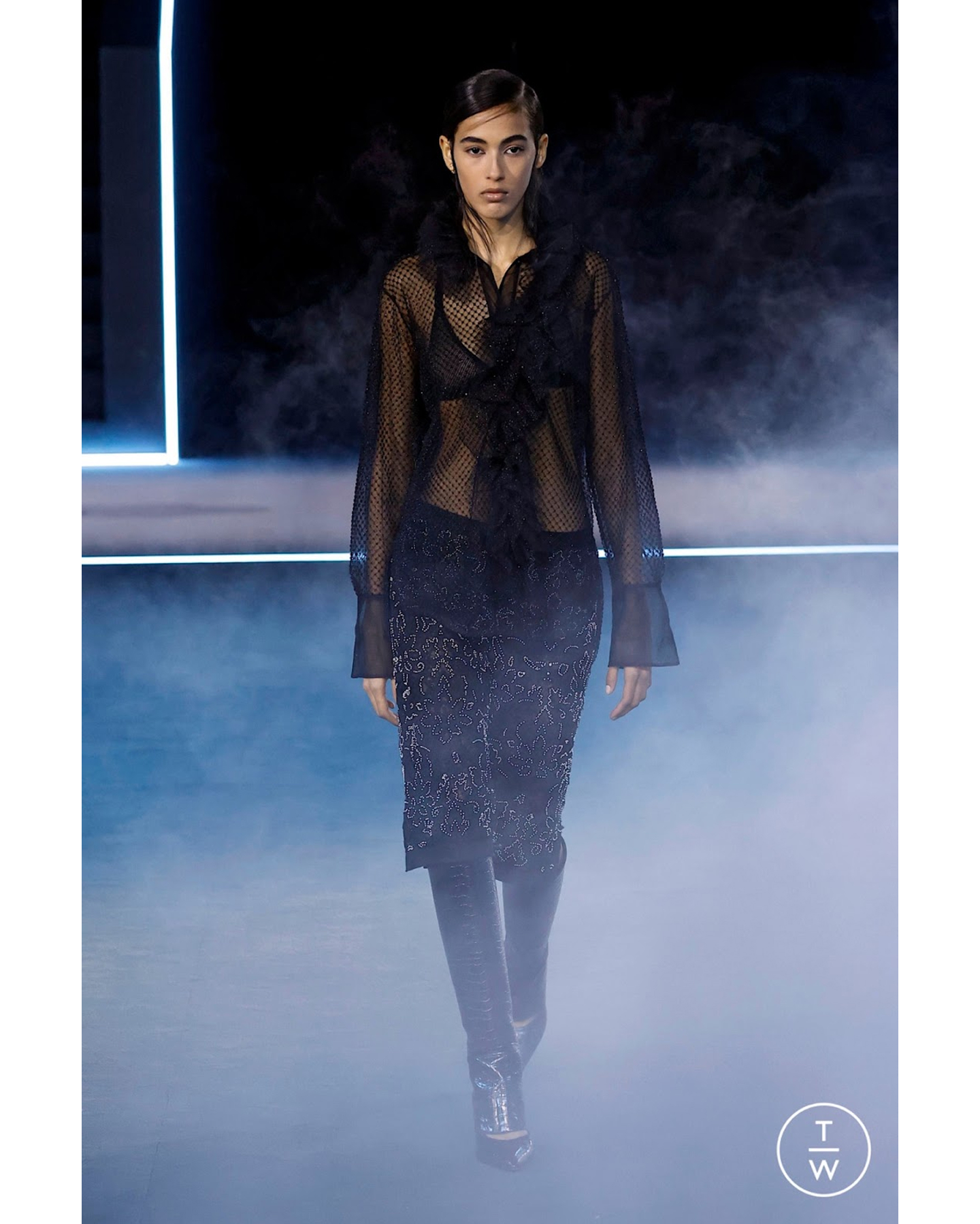 Фото: Dior FW25 (Tagwalk)